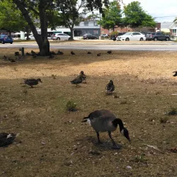 Mill Creek Park - South Portland