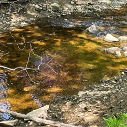 Mill Creek Park - South Portland