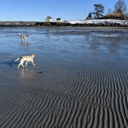 Willard Beach - South Portland
