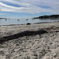 Willard Beach - South Portland