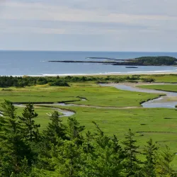 Morse Pond Preserve - Topsham