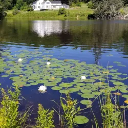 Boothbay Region Land Trust Preserves - Whitefield