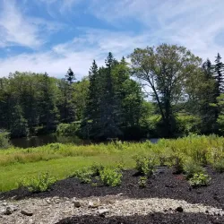 Boothbay Region Land Trust Preserves - Whitefield