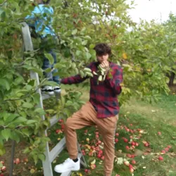 Local Farms and Orchards - Whitefield