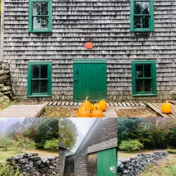 Local Farms and Orchards - Whitefield