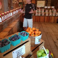 Local Farms and Orchards - Whitefield