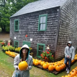 Local Farms and Orchards - Whitefield