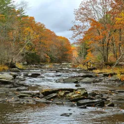 Sheepscot Valley Conservation Area - Whitefield