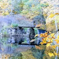 Sheepscot Valley Conservation Area - Whitefield
