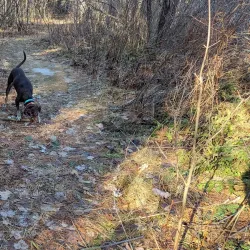 Sheepscot Valley Conservation Area - Whitefield
