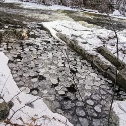 Sheepscot Valley Conservation Area - Whitefield