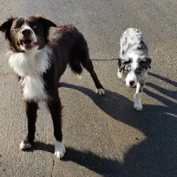 Sheepscot Valley Conservation Area - Whitefield