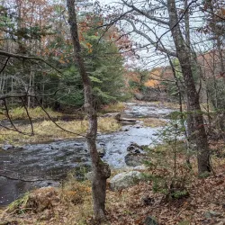 Sheepscot Valley Conservation Area - Whitefield