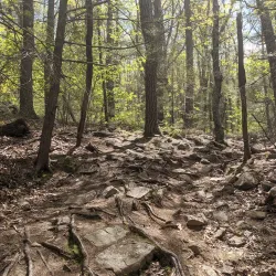 Mount Agamenticus - York