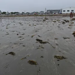 Short Sands Beach - York