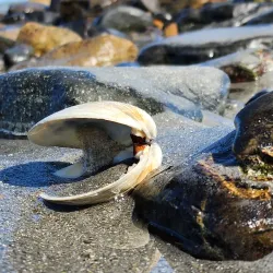 York Beach Boardwalk - York