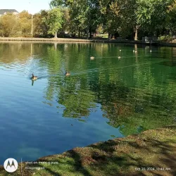 Bynum Run Park - Abingdon