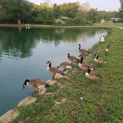 Bynum Run Park - Abingdon