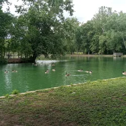 Bynum Run Park - Abingdon