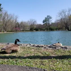 Bynum Run Park - Abingdon