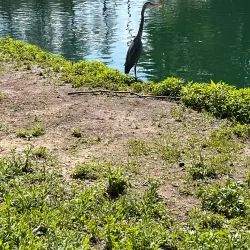 Bynum Run Park - Abingdon