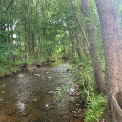 Bynum Run Park - Abingdon