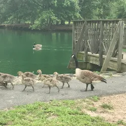 Bynum Run Park - Abingdon