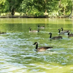 Bynum Run Park - Abingdon