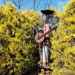 Historic Abingdon - Abingdon