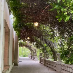 Liriodendron Mansion - Abingdon