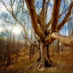 Susquehanna State Park - Abingdon