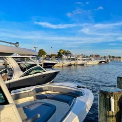 Ego Alley - Annapolis