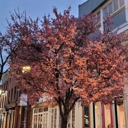 Fells Point - Baltimore