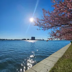 Fort McHenry National Monument and Historic Shrine - Baltimore