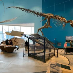 Maryland Science Center - Baltimore