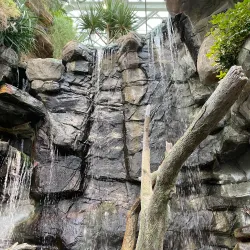 National Aquarium - Baltimore