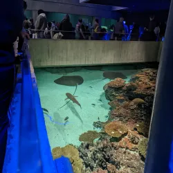 National Aquarium - Baltimore