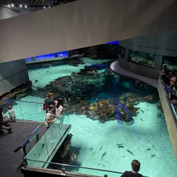 National Aquarium - Baltimore