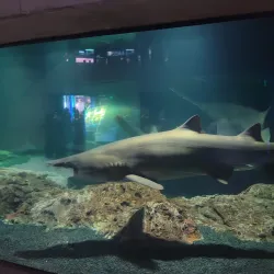 National Aquarium - Baltimore