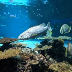 National Aquarium - Baltimore