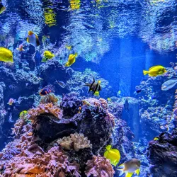 National Aquarium - Baltimore