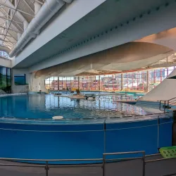 National Aquarium - Baltimore