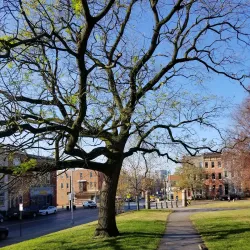 Patterson Park - Baltimore