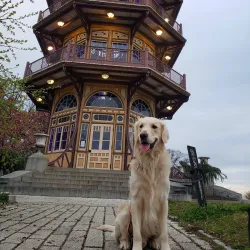 Patterson Park - Baltimore