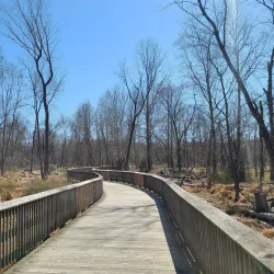 Ma & Pa Trail - Bel Air