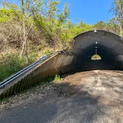 Ma & Pa Trail - Bel Air