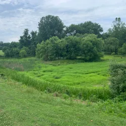 Ma & Pa Trail - Bel Air