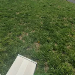 Rockfield Park - Bel Air