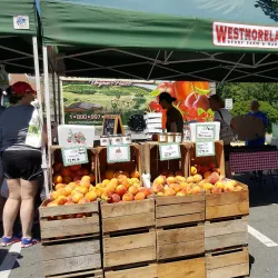 Bethesda Farmers Market - Bethesda