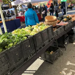 Bethesda Farmers Market - Bethesda